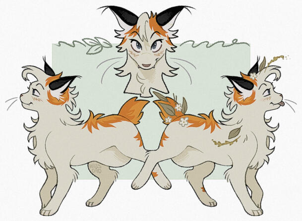 Fullbody (flipped) + Headshot